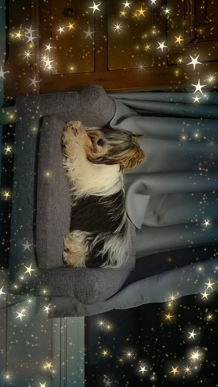 B-ANITA klan biewer rott