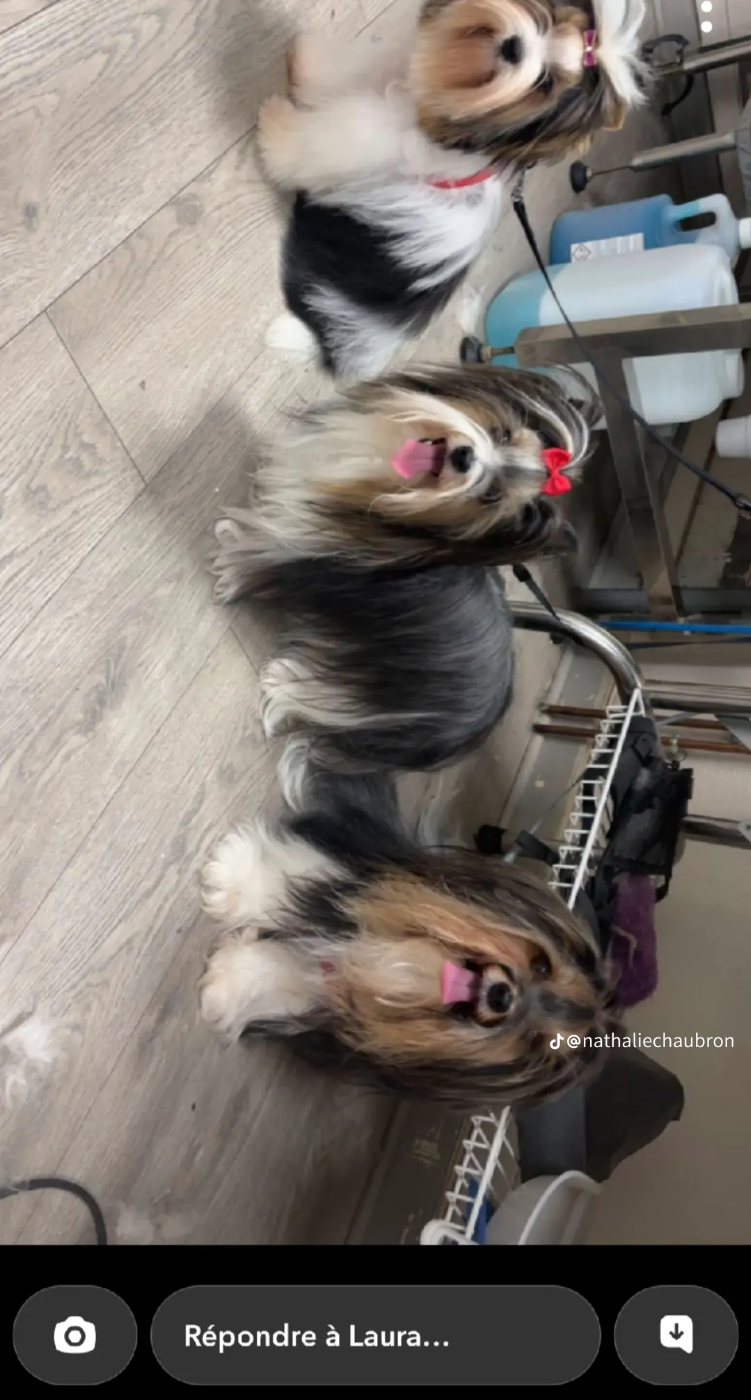 TOMMY SAMBA ET B-ANITA